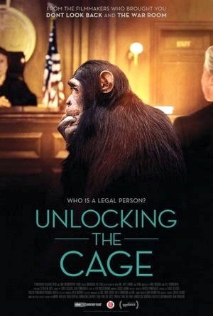 Unlocking the Cage-2016