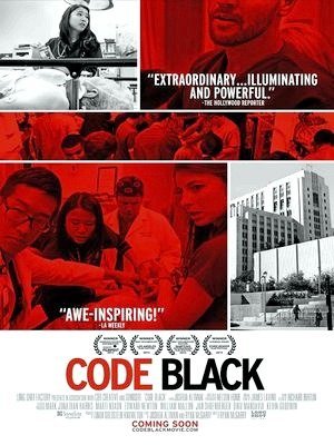 Code Black-2013