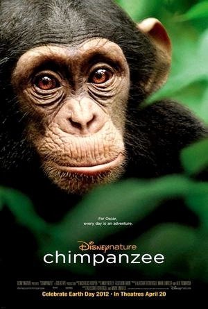 Chimpanzés-2012