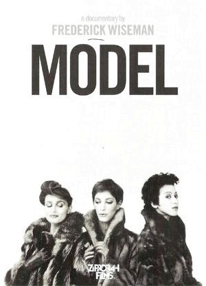 Modelo-1980