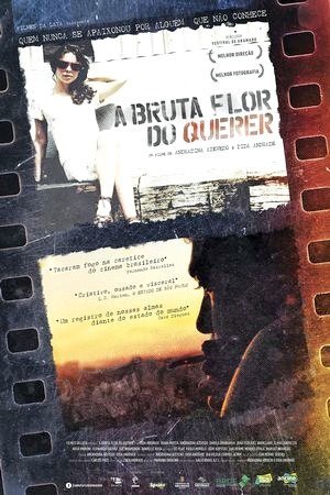 A Bruta Flor do Querer-2013