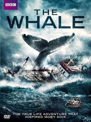 The Whale-2013