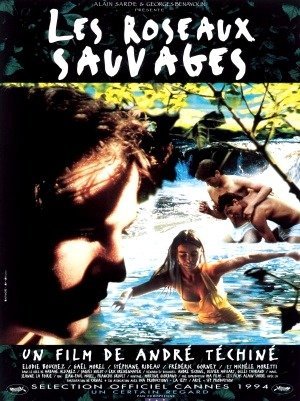 Rosas Selvagens-1994