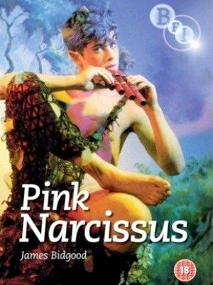 Pink Narcissus-1971