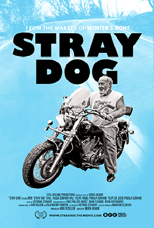 Stray Dog-2014