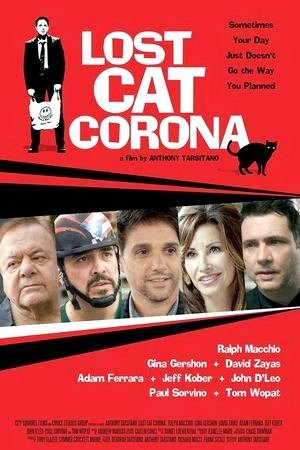 Lost Cat Corona-2015