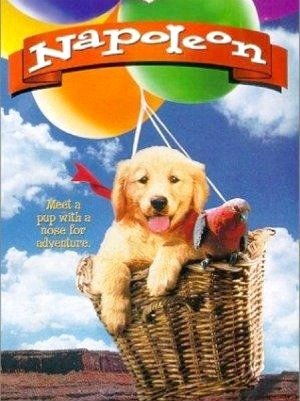 Napoleon - As Aventuras de um Cãozinho Valente-1996