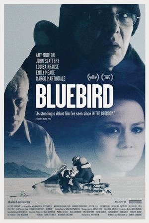 Bluebird-2013