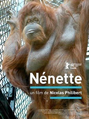 Nénette-2010