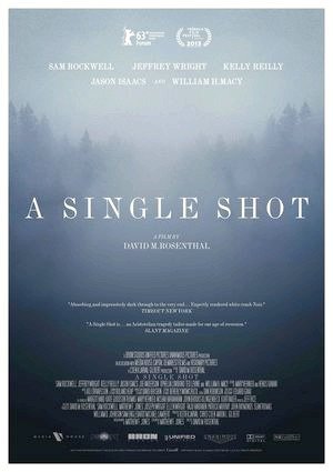 A Single Shot-2013