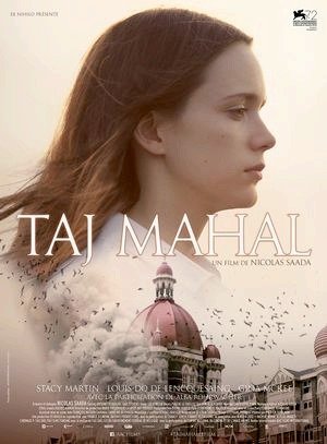 Taj Mahal-2014