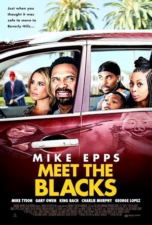 Meet The Blacks-2016