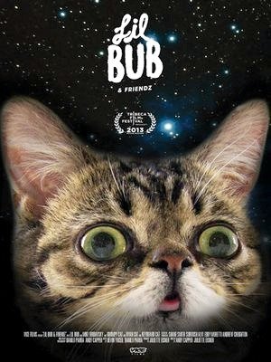 A Gatinha Lil Bub e seus Amiguinhos-2013