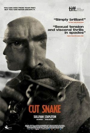 Cut Snake-2014