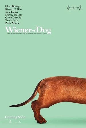 Wiener-Dog-2016